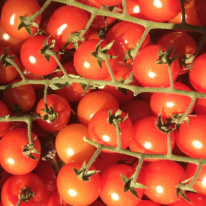 Vine Cherry Tomatoes