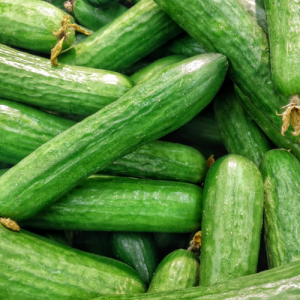 Cucumber