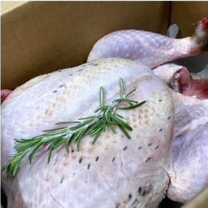 BRONZE FREE RANGE TURKEY - POTASH FARM, TRING