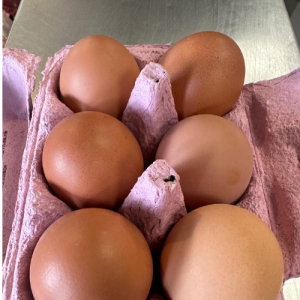 6 Free Range Eggs